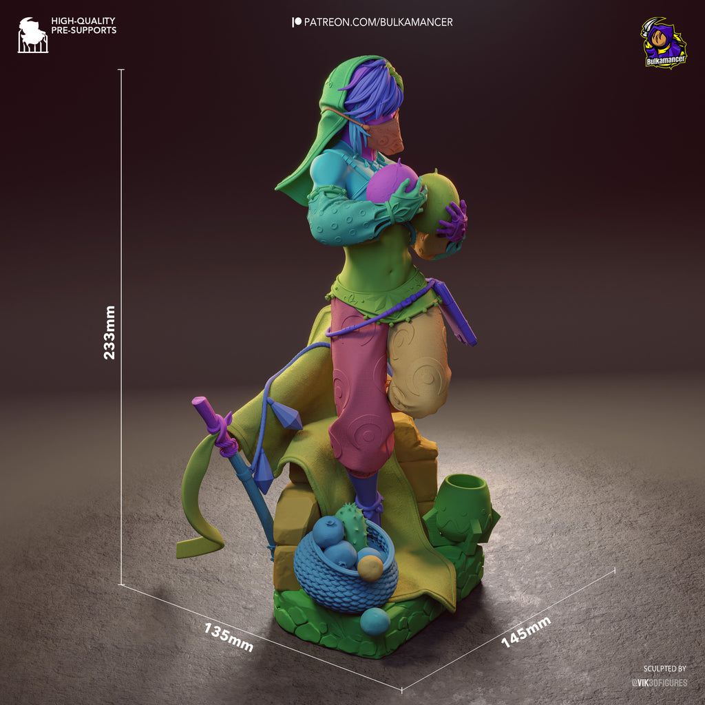 Gerudo Link - Zelda Tears of the Kingdom | Custom Statue 3D printed figure
